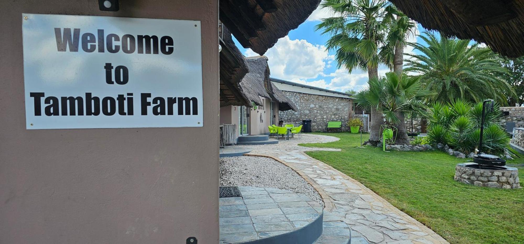 Tamboti Farm Accommodation Tsumeb Bagian luar foto
