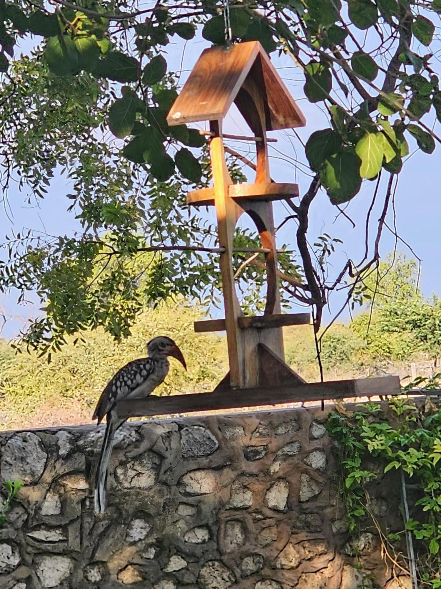 Tamboti Farm Accommodation Tsumeb Bagian luar foto